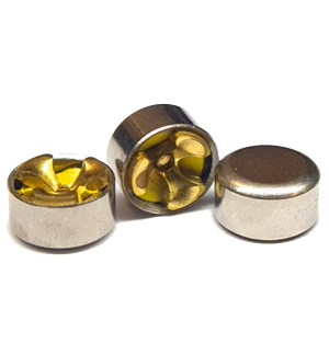 Primers Isolated 1